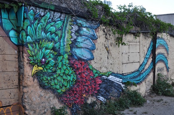 Grafit v Boquete