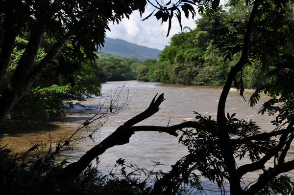 Parque El Gallineral