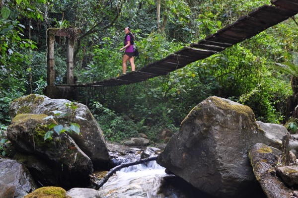 Valle del Cocora