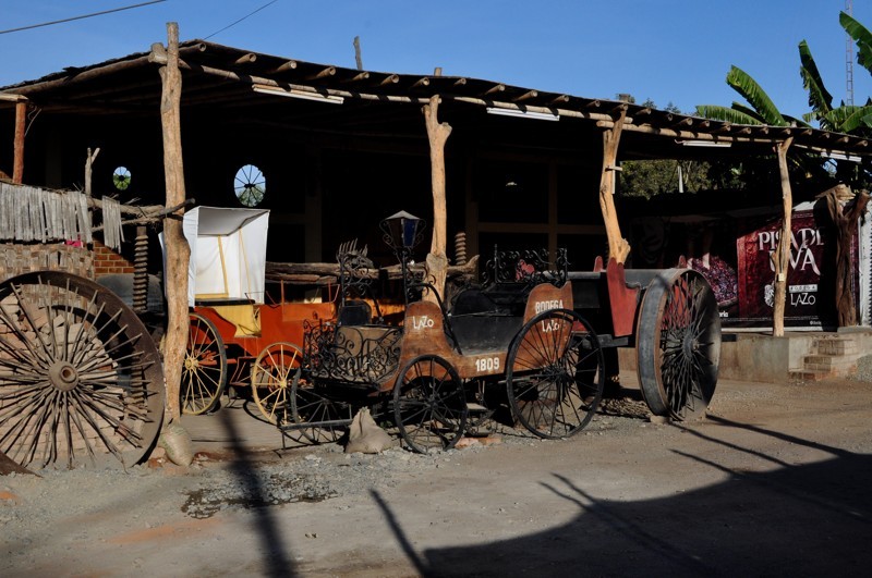 Vinařství Bodega Lazo