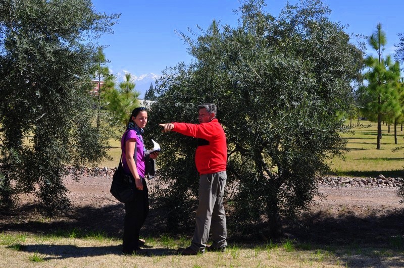S Carlosem na olivové plantáži