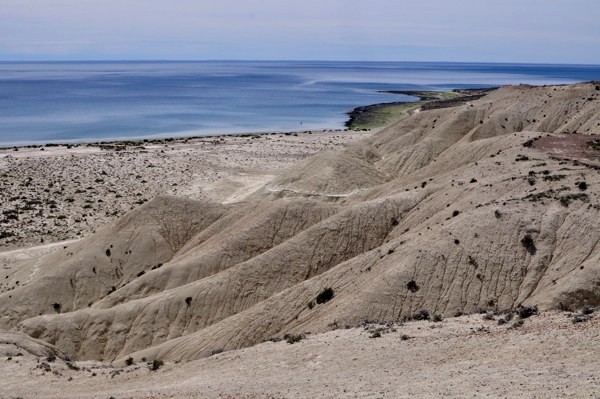 Nedaleko Puerto Madryn