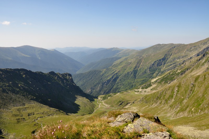 Karpaty